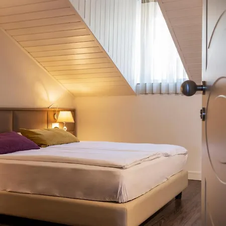 Alexandra Hotel Muralto