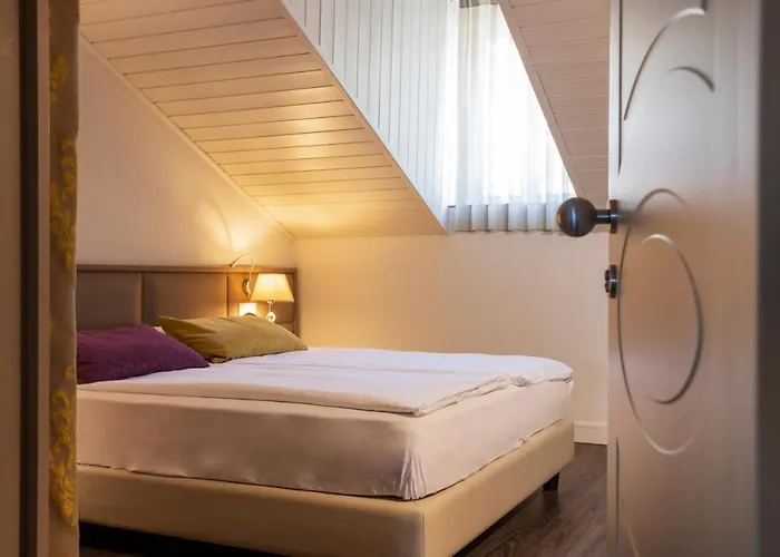 Alexandra Hotel Muralto