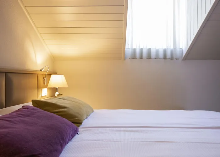 Alexandra 호텔 Muralto